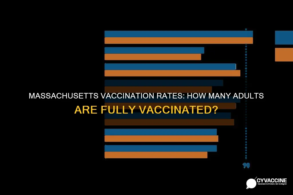 what percent of adults in massachusetts are vaccinated