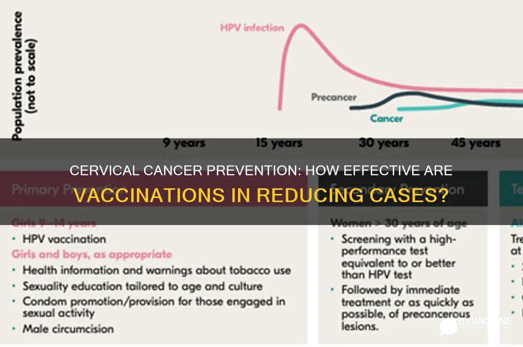 what percent of cervical cancer does vaccination prevent