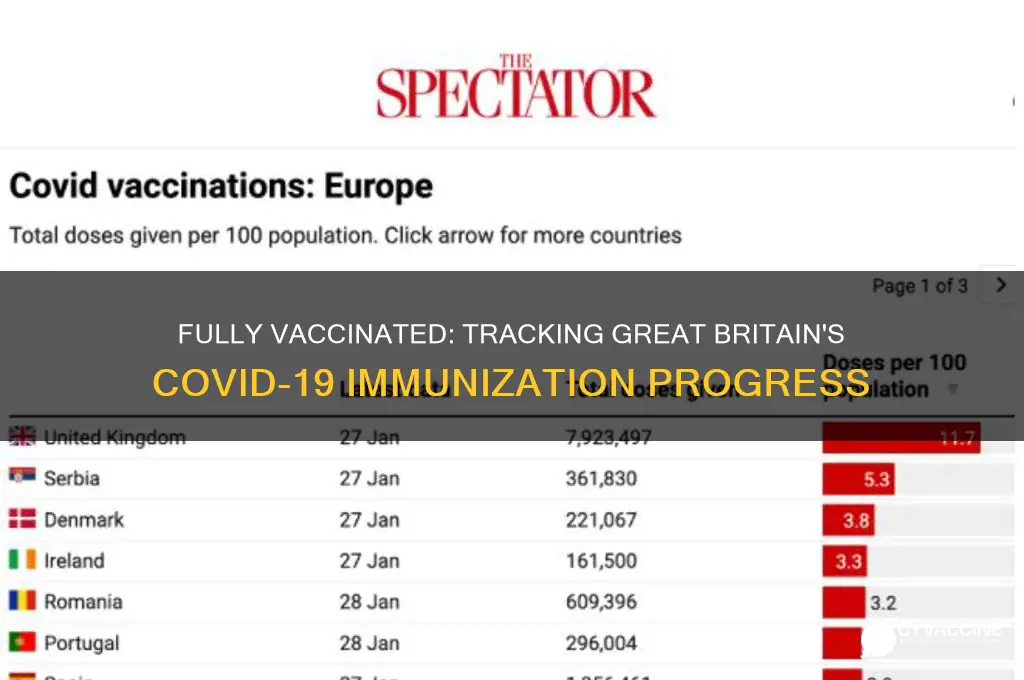 what percent of great britain is fully vaccinated