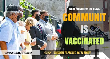 Black Community Vaccination Rates: Understanding the Current Percentage