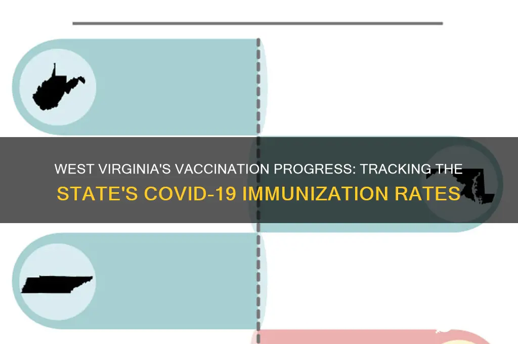 what percent of west virginia has been vaccinated