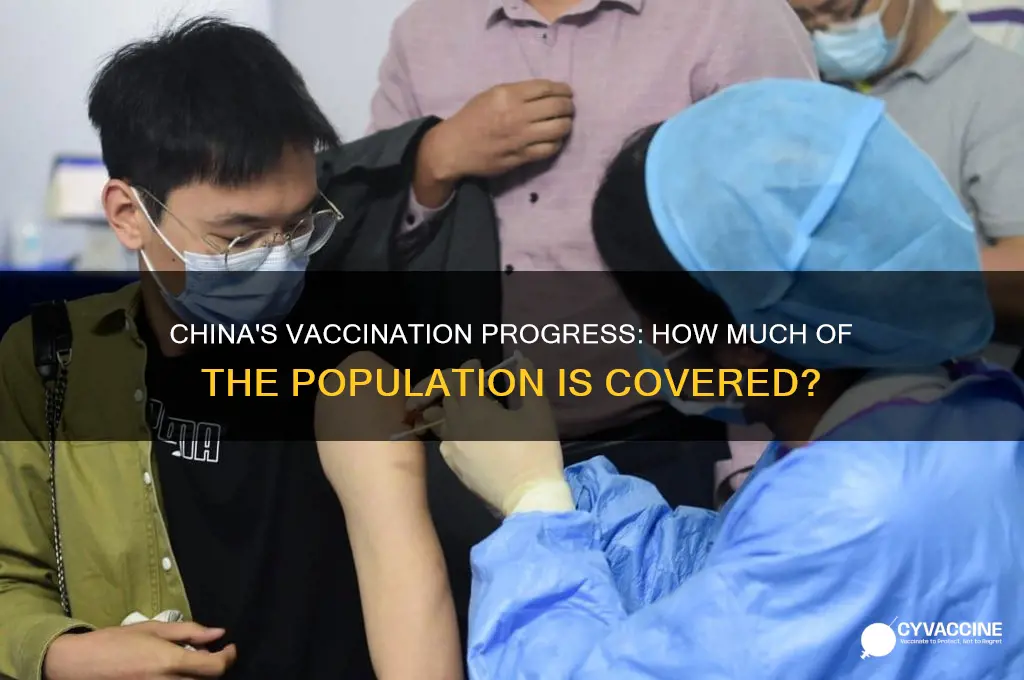 what percentage of china