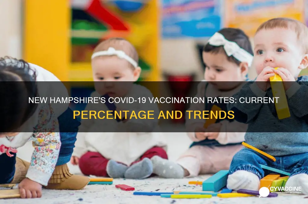 what percentage of new hampshire has been vaccinated
