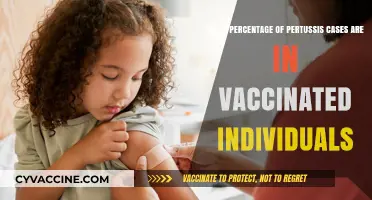 Vaccinated Pertussis Cases: Unraveling the Percentage and Implications