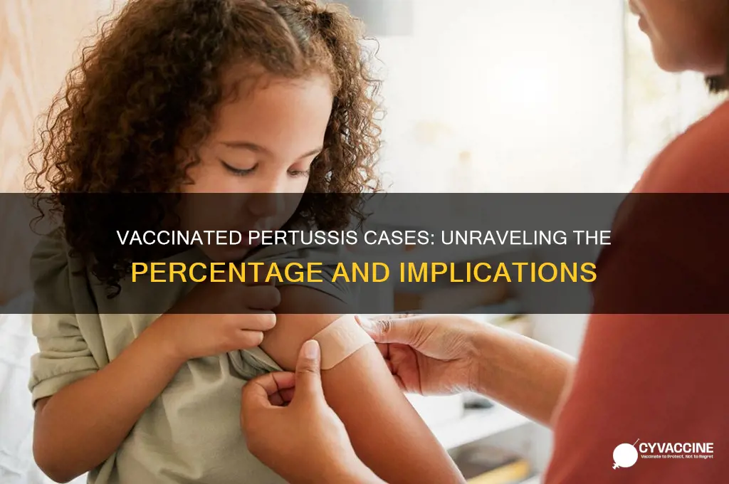 what percentage of pertussis cases are in vaccinated individuals