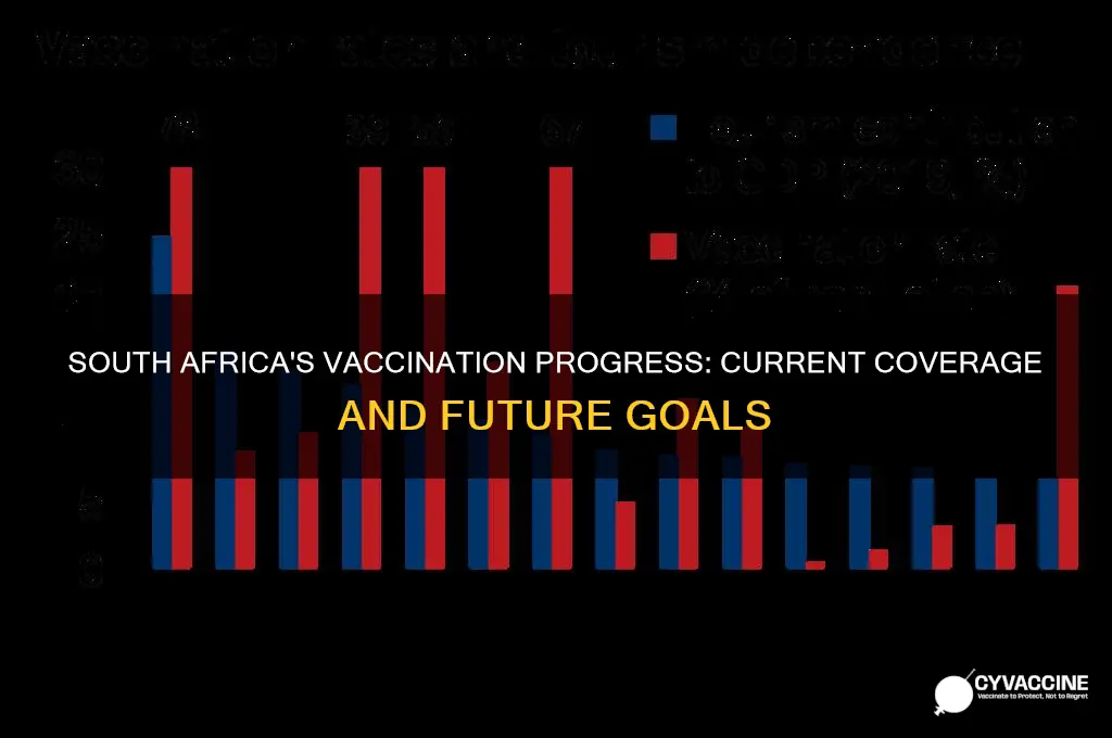 what percentage of south africa has been vaccinated