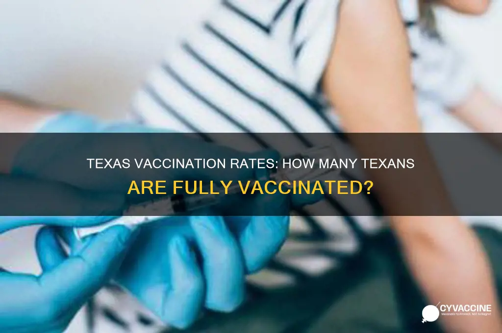 what percentage of texans have been fully vaccinated