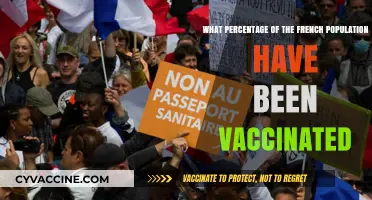 French Vaccination Rates: How Many Have Received COVID-19 Shots?