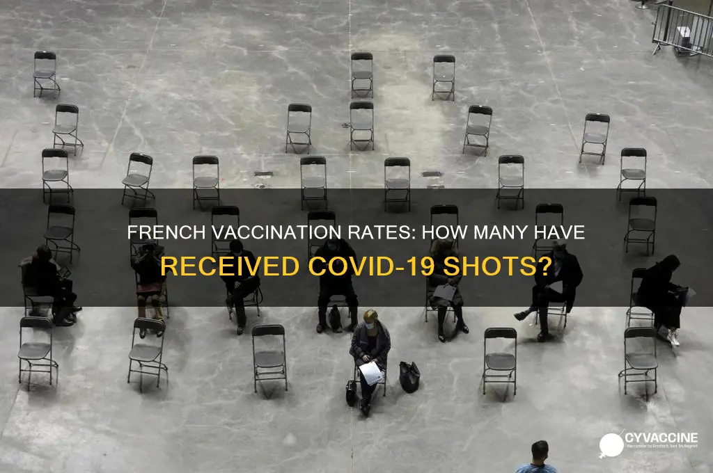 what percentage of the french population have been vaccinated