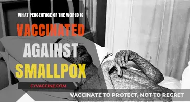 Global Smallpox Vaccination Rates: Current Coverage and Historical Impact