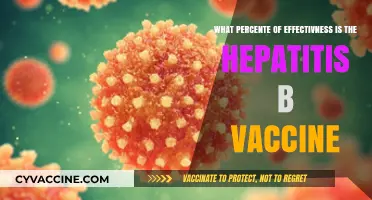 Hepatitis B Vaccine: Understanding Its Effectiveness and Impact