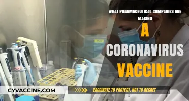 Leading Pharmaceutical Companies Developing Coronavirus Vaccines: A Comprehensive Overview