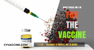 Understanding Your COVID-19 Vaccine Phase: A Quick Guide
