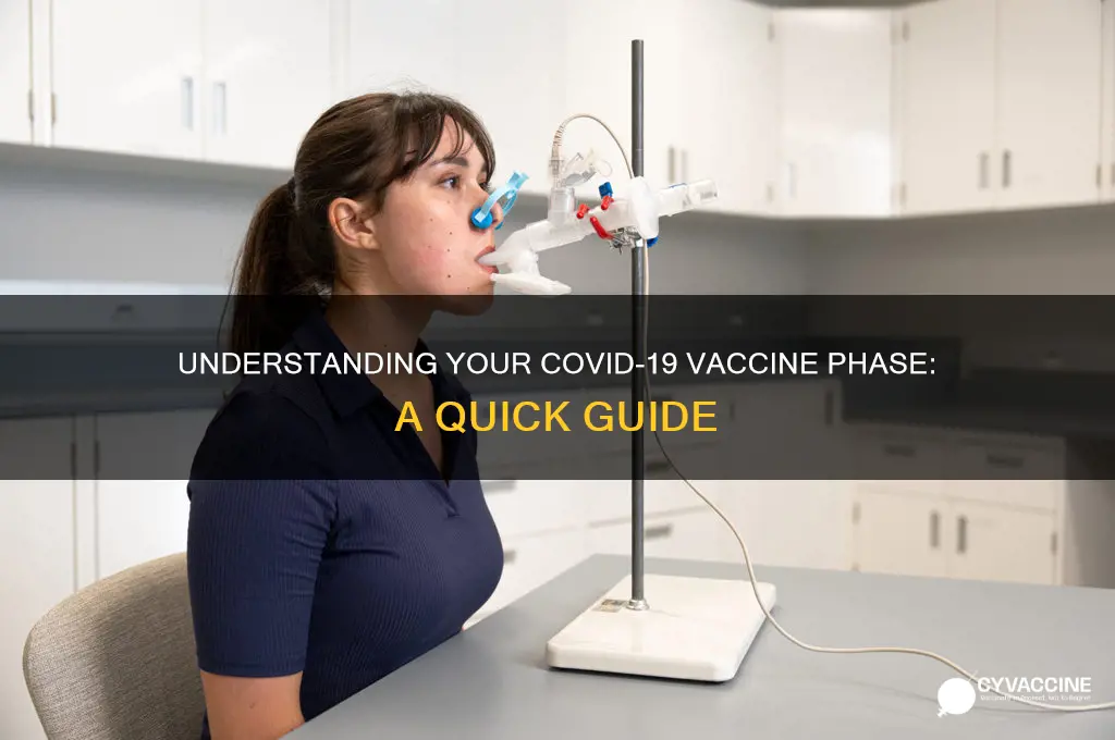 what phase am i in for the vaccine