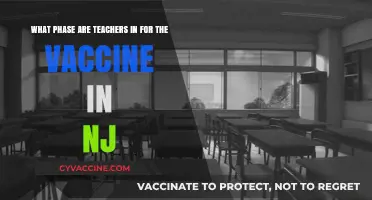 NJ Teachers' Vaccine Phase: Where Do Educators Stand in Rollout?