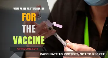 Vaccine Rollout: Understanding Teachers' Current Phase in Immunization Efforts