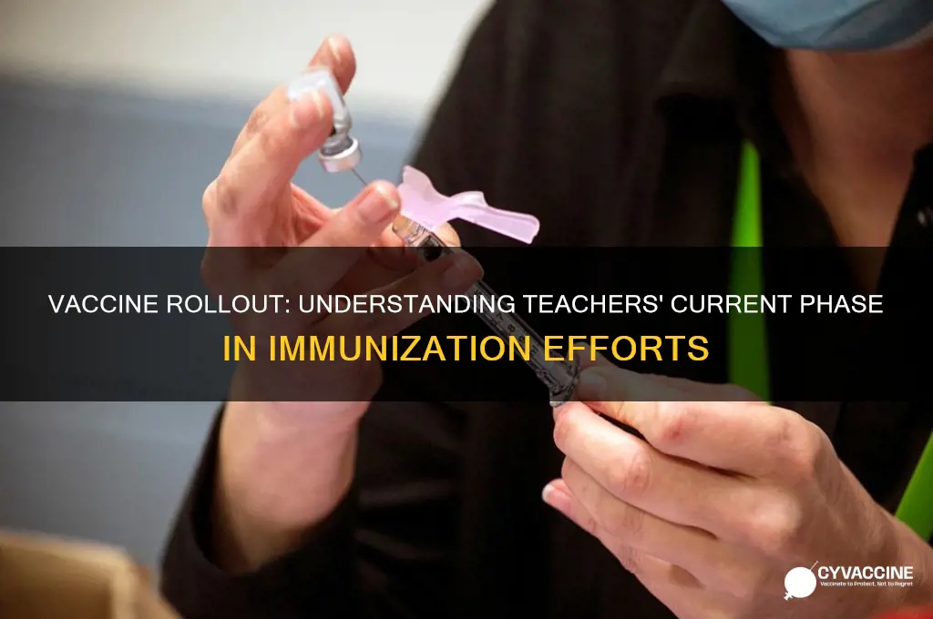 what phase are teachers in for the vaccine