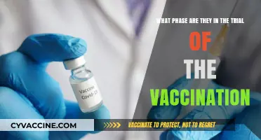 Vaccination Trial Phases: Current Stage and What It Means