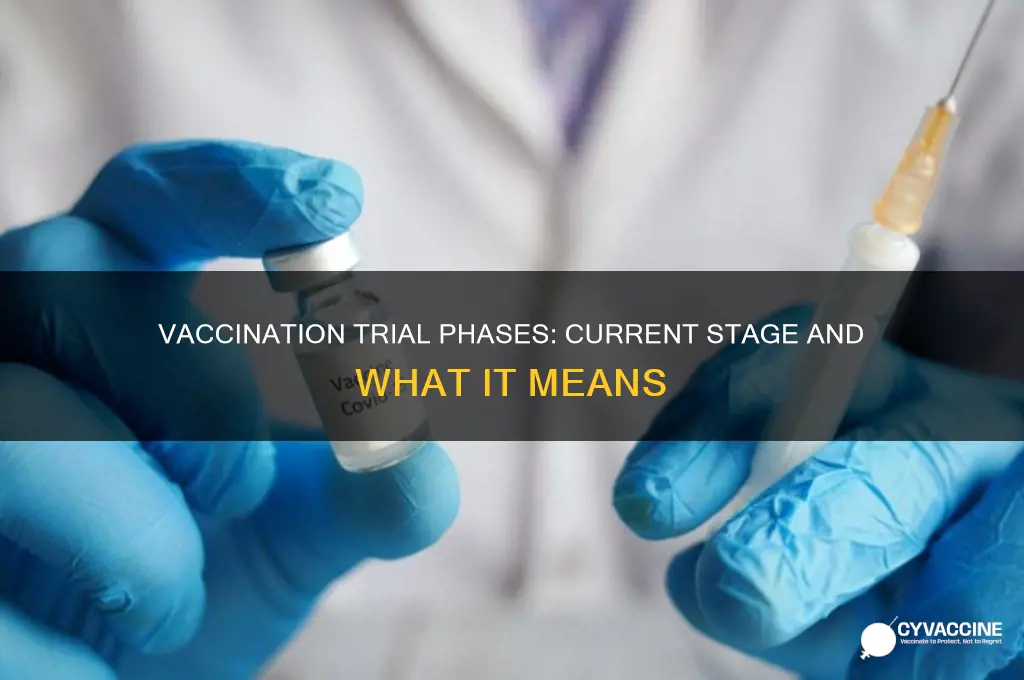 what phase are they in the trial of the vaccination