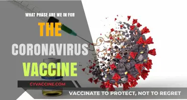 Current Phase of Coronavirus Vaccine Development: Where Do We Stand?