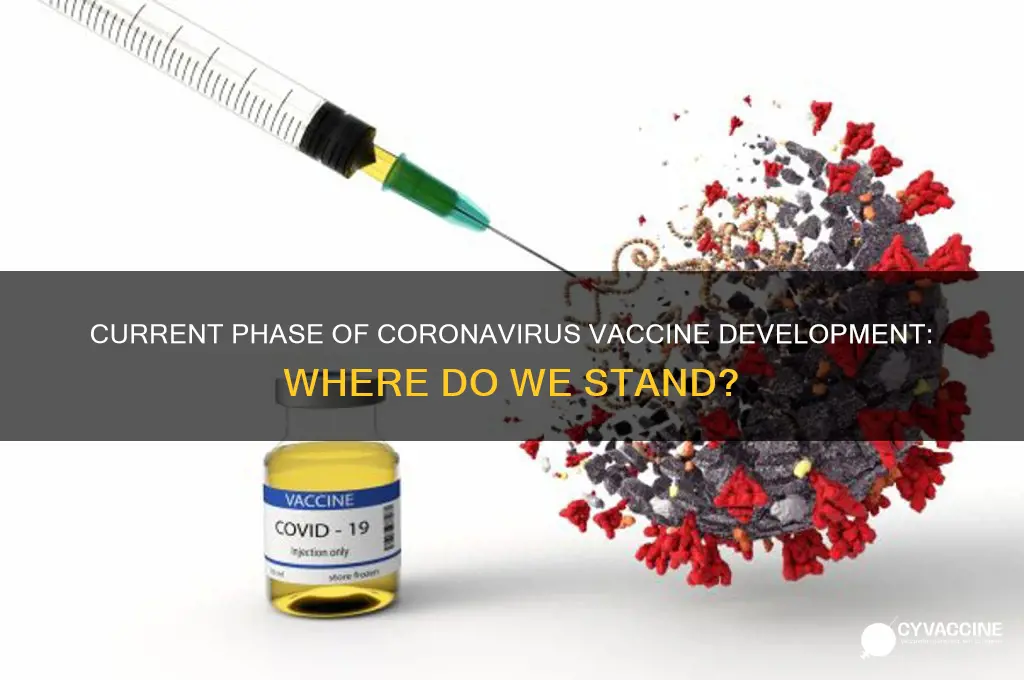 what phase are we in for the coronavirus vaccine