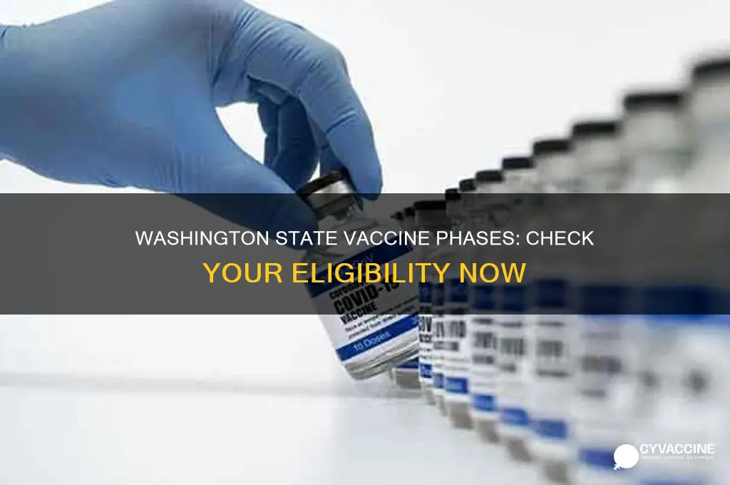 what phase for vaccine am i in washington state