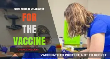 Colorado's Vaccine Phase: Current Status and Distribution Updates