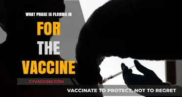 Florida's Vaccine Rollout: Current Phase and Eligibility Updates