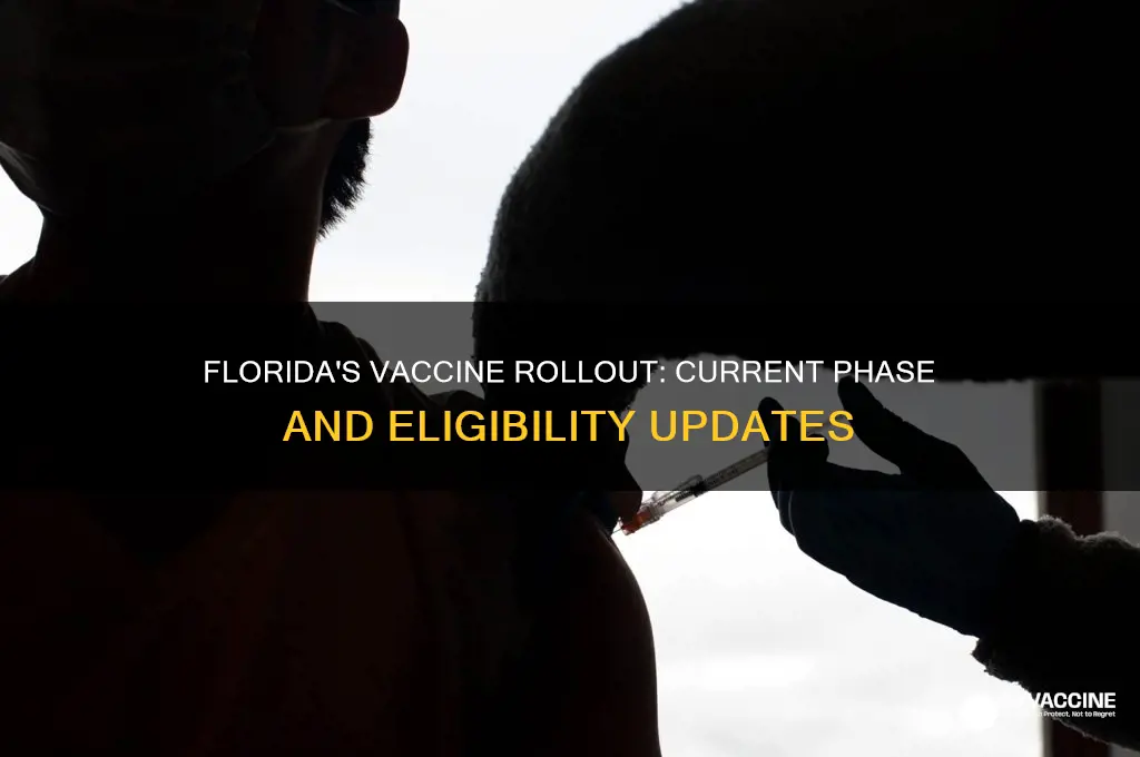 what phase is florida in for the vaccine