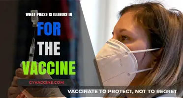 Illinois Vaccine Rollout: Current Phase and Eligibility Updates Explained