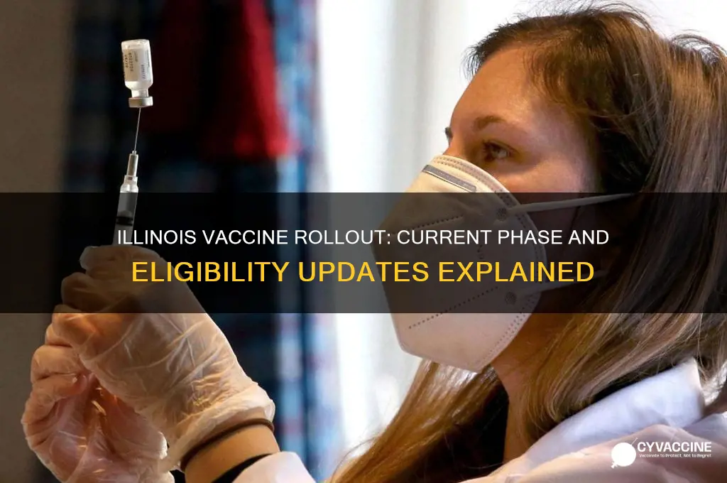 what phase is illinois in for the vaccine