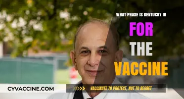 Kentucky's Vaccine Phase: Current Status and Distribution Updates
