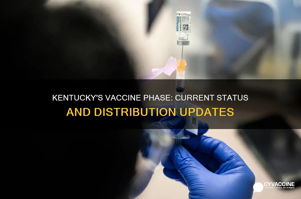 what phase is kentucky in for the vaccine