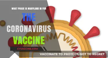 Maryland's COVID-19 Vaccine Phase: Current Status and Distribution Updates