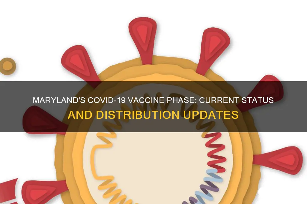 what phase is maryland in for the coronavirus vaccine