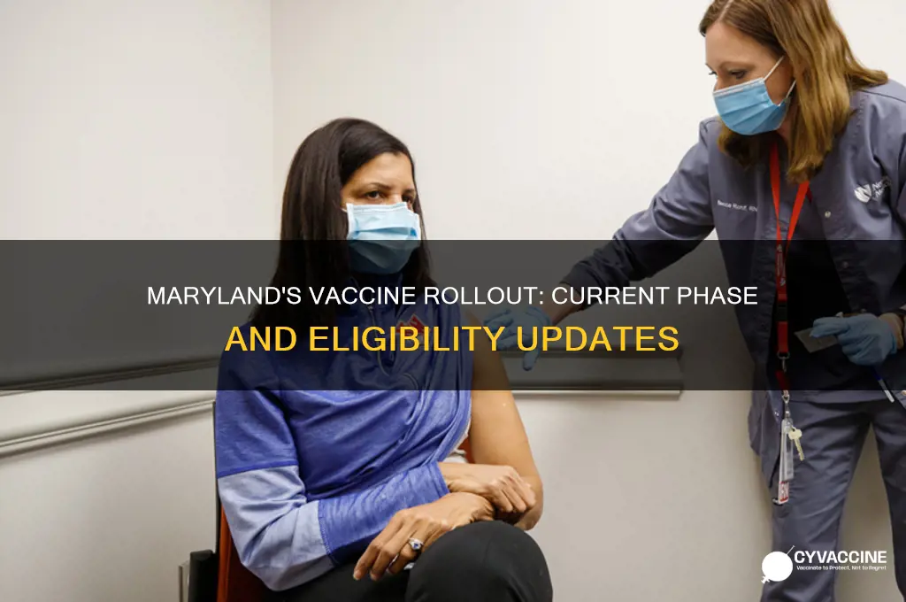 what phase is maryland in for the vaccine