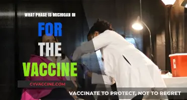 Michigan's Vaccine Phase: Current Status and Distribution Updates