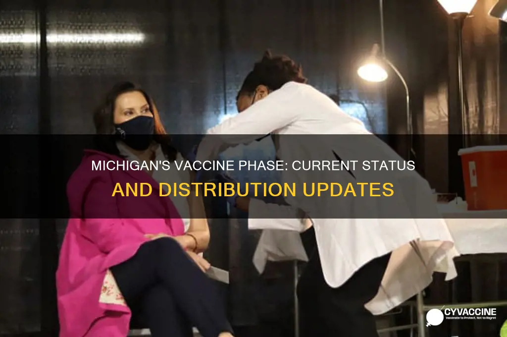 what phase is michigan in for the vaccine