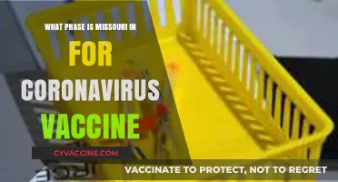 Missouri's COVID-19 Vaccine Rollout: Current Phase and Distribution Updates