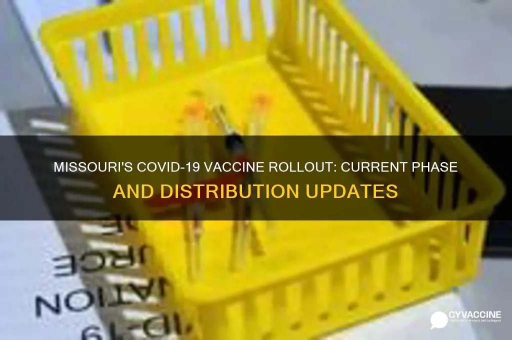 what phase is missouri in for coronavirus vaccine