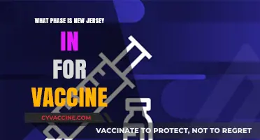 New Jersey's Vaccine Rollout: Current Phase and Eligibility Updates
