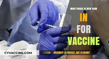 New York's Vaccine Phase: Current Status and Updates Explained