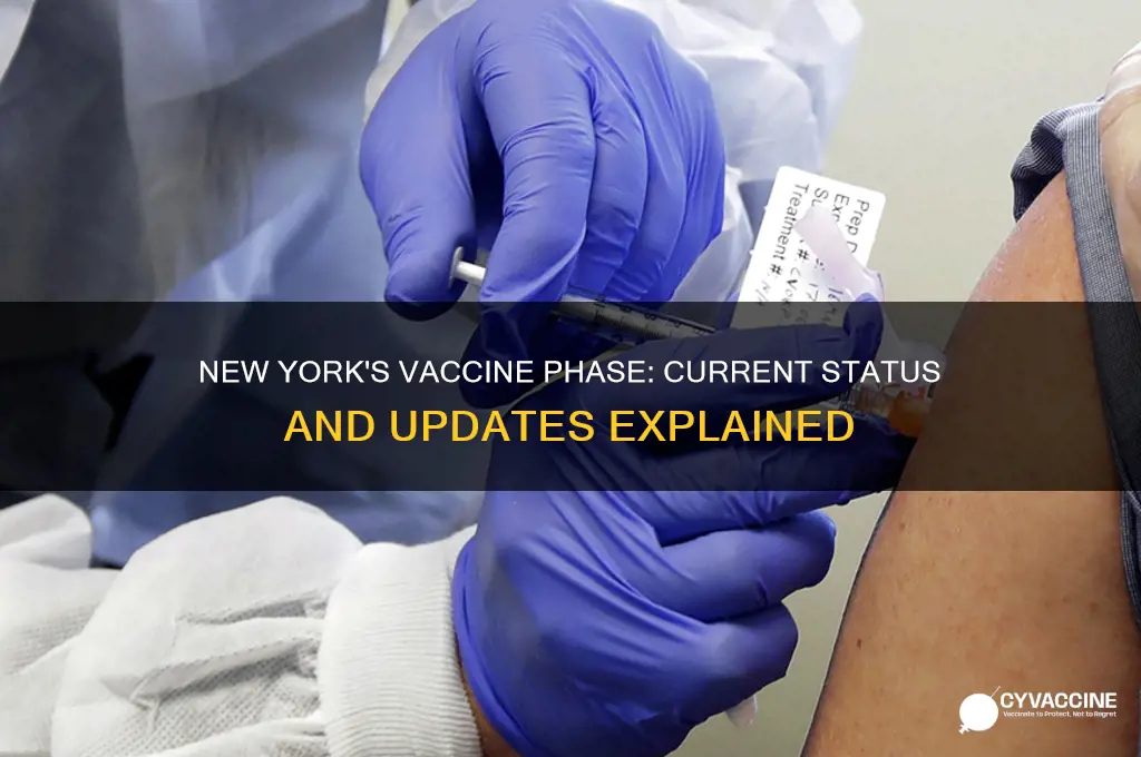 what phase is new york in for vaccine