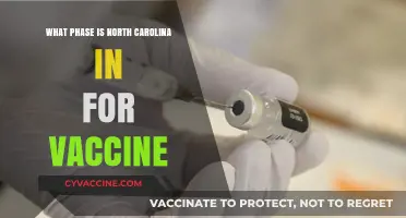 North Carolina's Vaccine Rollout: Current Phase and Eligibility Updates