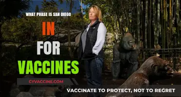 San Diego's Vaccine Phase: Current Status and Distribution Updates