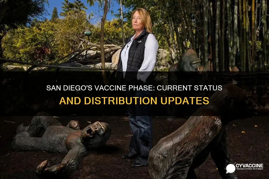 what phase is san diego in for vaccines