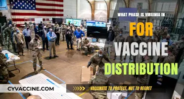 Virginia's Vaccine Rollout: Current Phase and Distribution Updates