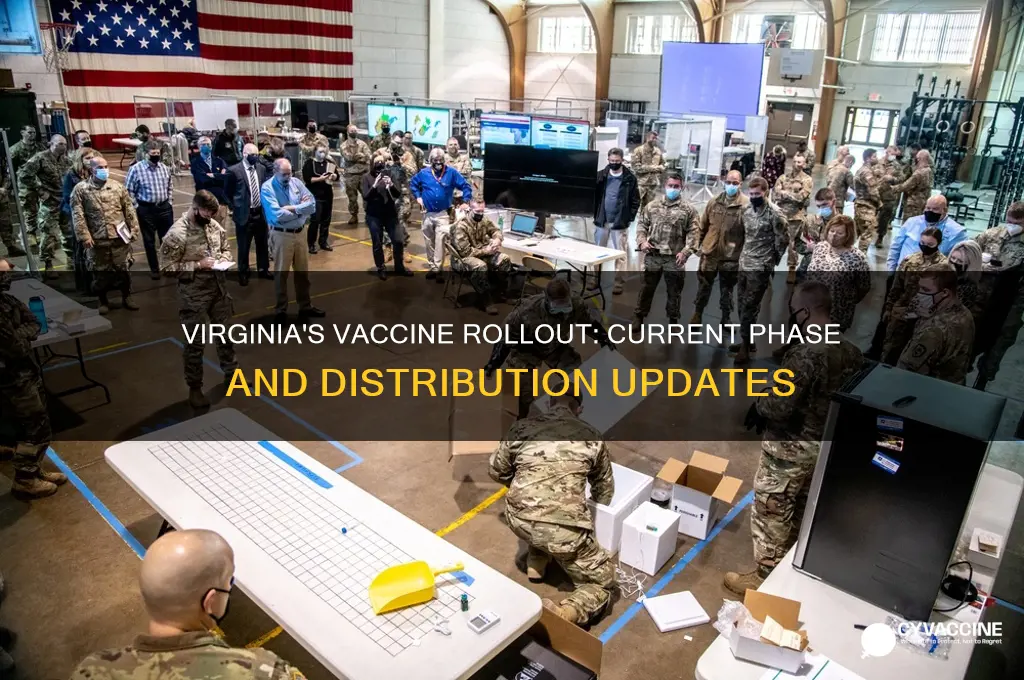 what phase is virginia in for vaccine distribution