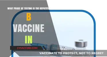 Hepatitis B Vaccine Testing Phase: Current Status and Updates