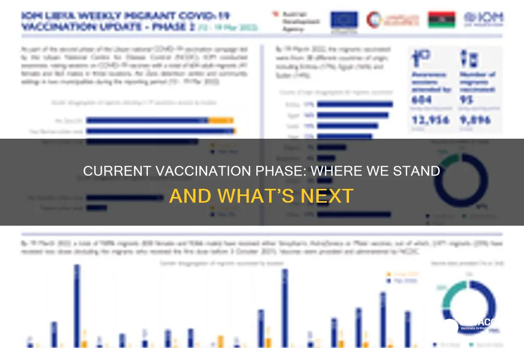 what phase of the vaccination are we in